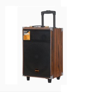 DIFFUSORE ATTIVO 12" RICARICABILE IN LEGNO 60W RMS BT FM AUX MIC IN REC USB MEM CARD MICROFONO 220VAC