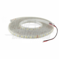 STRISCIA LED 5MT DA ESTERNO IP67 24VDC 14,4W/m 60LED/M 5050 6500K BIANCO FREDDO 12mm