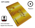 VIPCARD Digital Audio Voice Recorder con VOX	