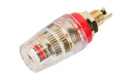 BOCCOLA DA PANNELLO ?19mm PLACCATA ORO MORSETTO HIFI ROSSA